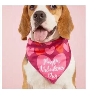 Pet Bandana Valentines Day